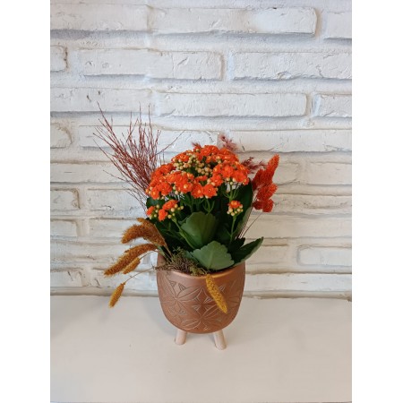 Ayaklı Saksıda  Kalanchoe Çiçeği